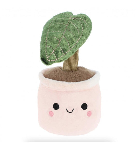 Mini Peluches Plantes succulentes kawaii Boutique Keel Toys Calathea