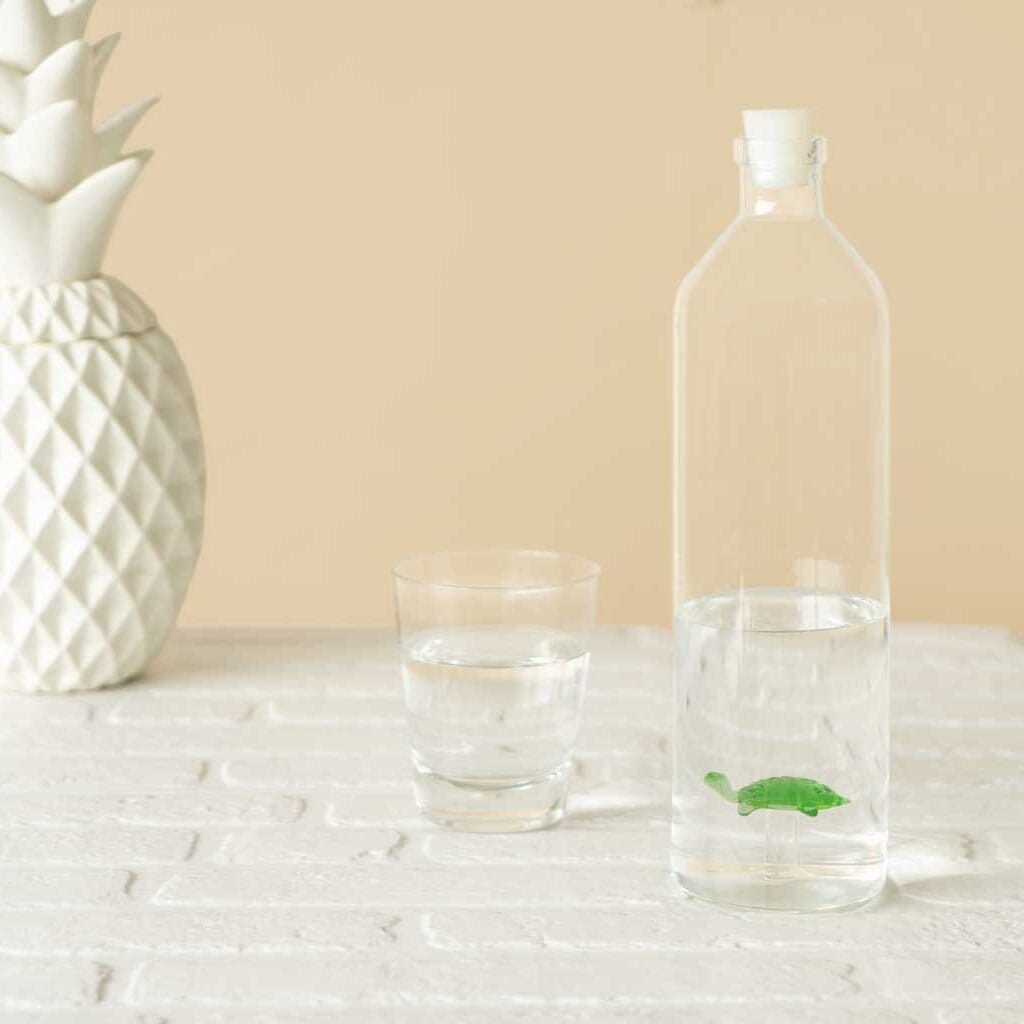 Bouteille Tortue en verre borosilicate - Missa Arles