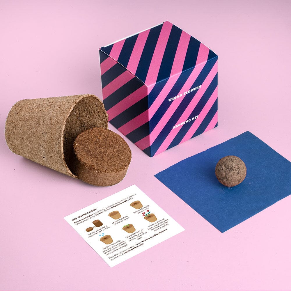 Kit à planter Urban Flowers - Resetea Boutique Resetea 