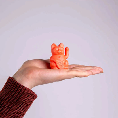 Lucky Cat solaire – Maneki Neko Boutique Donkey 