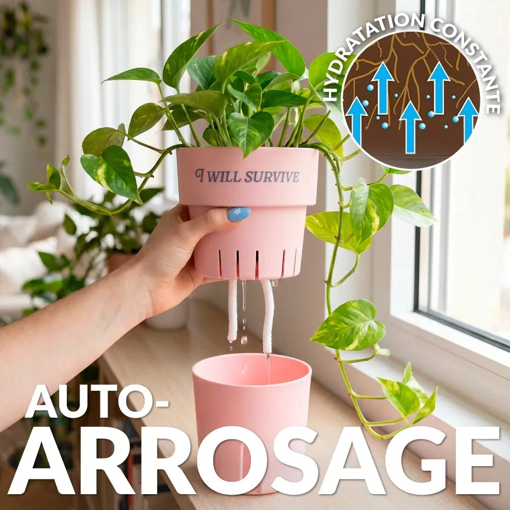 Pot auto-arrosant « I Will Survive » : Idée cadeau originale Boutique Boutique Missa Arles 