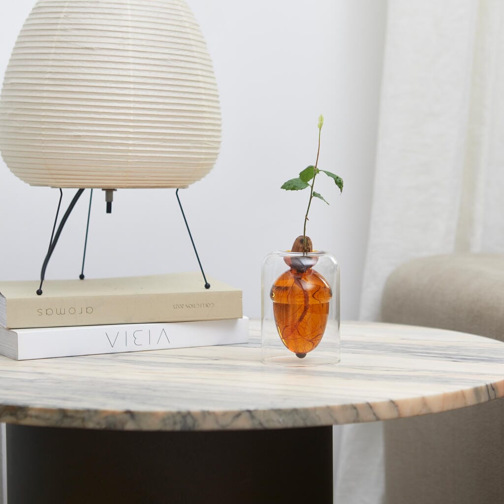 Vase pour germination Boutique Balvi 