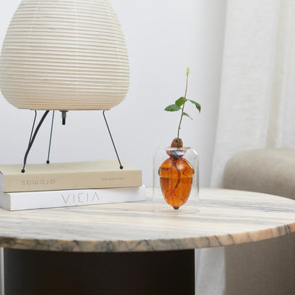 Vase pour germination Boutique Balvi 